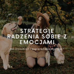 Webinar – Strategie radzenia sobie z emocjami. Jak zrozumieć i wspierać swojego psa?