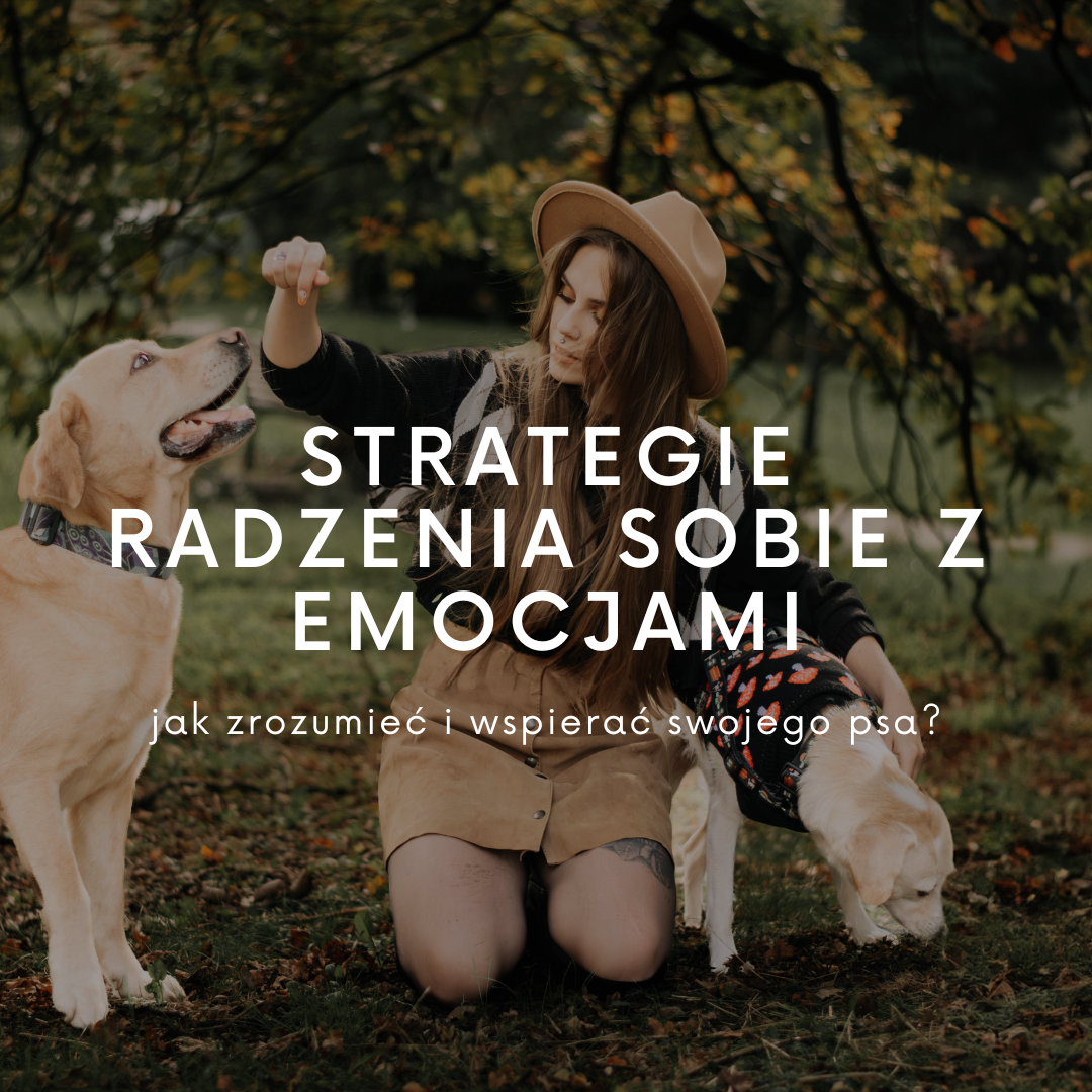 Webinar – Strategie radzenia sobie z emocjami. Jak zrozumieć i wspierać swojego psa?