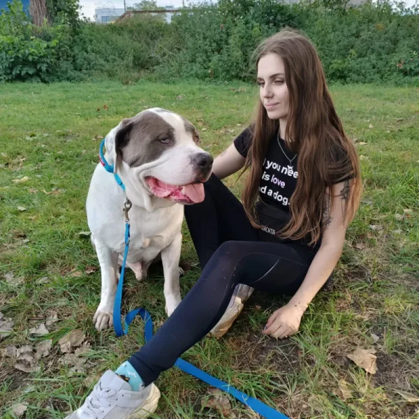 amstaff-pies-przytulanie